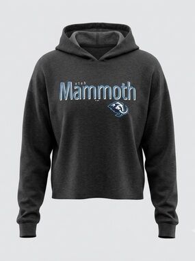 NWT Utah Mammoth NHL Hooded Long Sleeve Shirt Gray Men’s Large Official